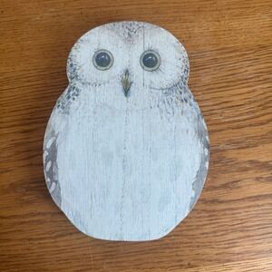 Giftcraft Snowy Owl Wood Block Wall Art‎ Shelf Sitter Decor White Gray